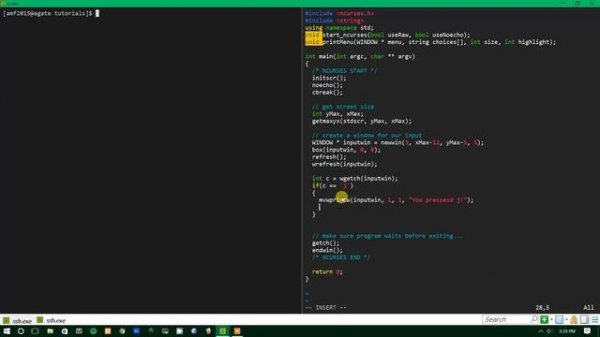 Ncurses Tutorial 6 - Working with User Input