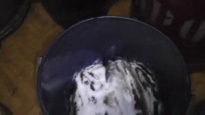 Как я солю и вялю Колымского чебака.