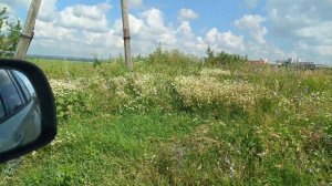 В Анапу ч.7/2024/ в отпуск на машине с кошкой/ наши мытарства продолжаются