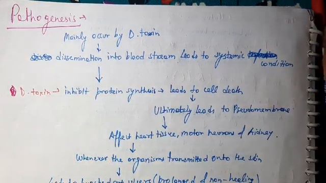 Corynebacterium Diphtheriae Microbiology смотреть онлайн