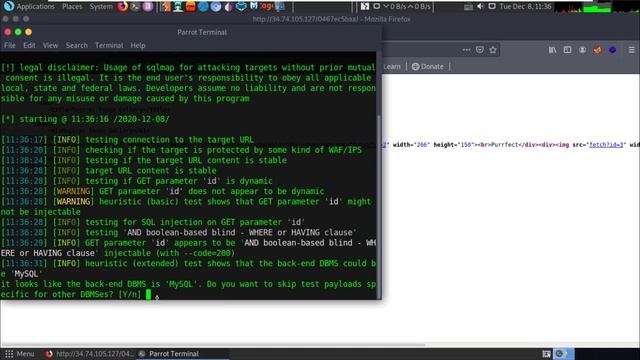 Hacker101 CTF | Photo Gallery (Web) | Flag1 смотреть онлайн