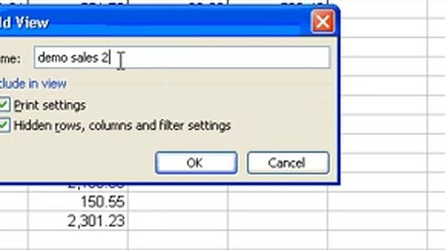 Microsoft Office Excel 2003 Create A Custom View