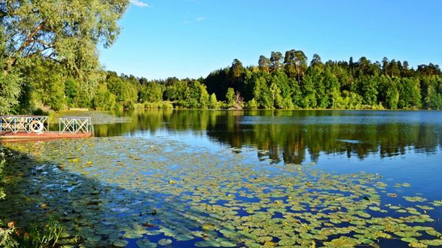 Volga-Kama Nature Reserve | Wikipedia audio article смотреть онлайн