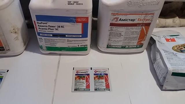 Препараты для защиты чеснока в период вегетации. Выбор препарата, сроки применения, нормы. смотреть онлайн