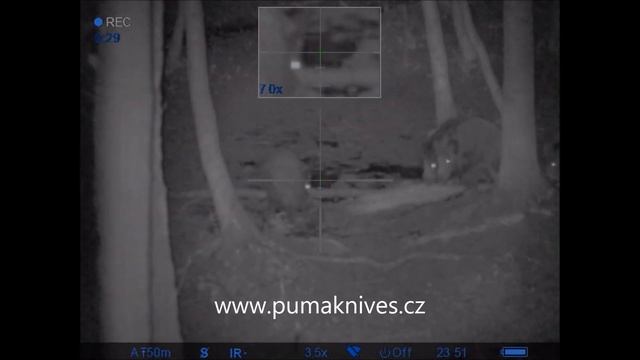 PULSAR DIGISIGHT N355 Ultra - lov divočáků - Hog Hunting - polowanie na dzika смотреть онлайн