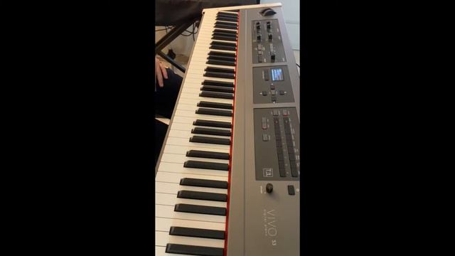 Nord vs Dexibell - American Steinway model B comparison (White Grand XL vs Usa Platinum Grand) смотреть онлайн