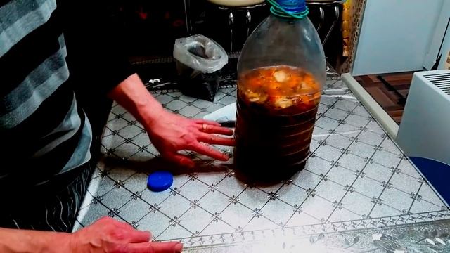 ПАН17. Применение энзимов и вермизакваски для биогумуса, червя, сада и огорода. смотреть онлайн