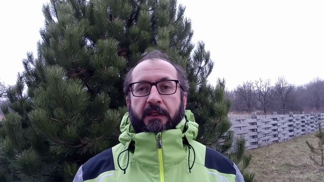 Самое тёмное время - перед рассветом? смотреть онлайн