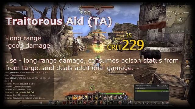 Echo of Soul (EoS) - Rogue Duelist PVP Basic Skill Guide смотреть онлайн