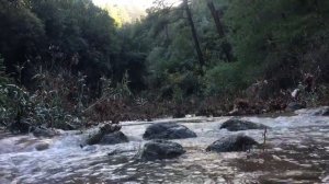 Шум реки. Звуки природы. Звуки для сна. Журчание реки