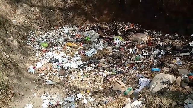 Cuidemos el Medio Ambiente смотреть онлайн