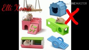 Какие игрушки можно хомякам | Elli Xoma