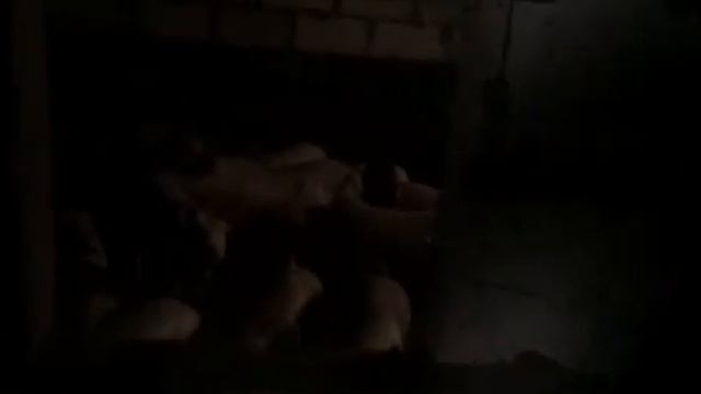 ? БМВД ВОДОЛАГА Доставка каналу свиновлог смотреть онлайн