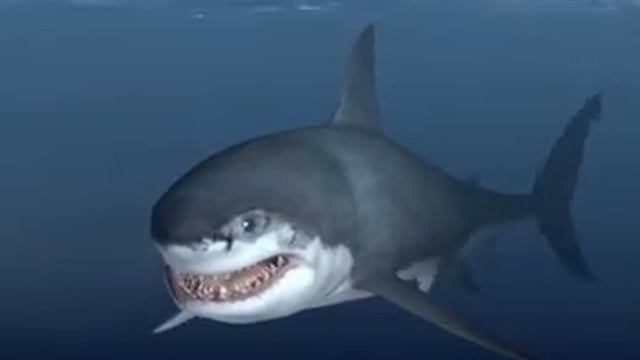 Talking great white shark ipad смотреть онлайн