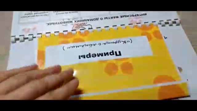 Альбом на липучках по теме "Животные" смотреть онлайн