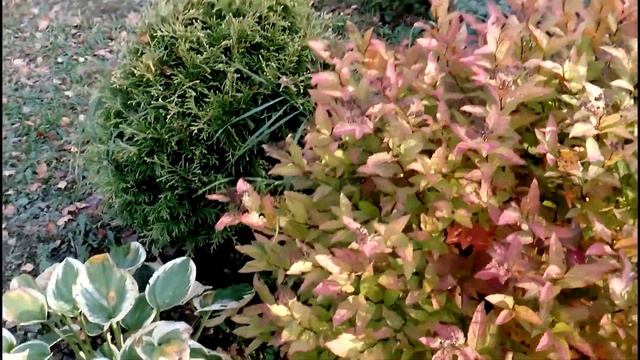 Вспоминаем лето 2020. смотреть онлайн