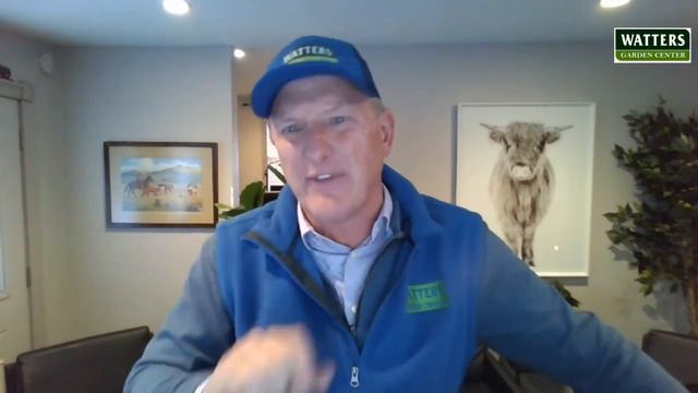 Apricot - Moorpark Wenatchee смотреть онлайн