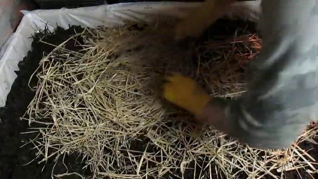 Червь "Старатель". 1000000 "Старателей" за зиму в подвале 15. смотреть онлайн