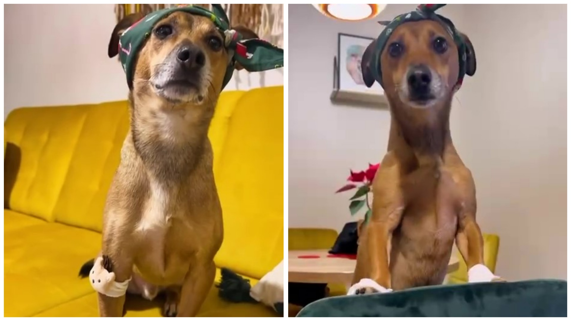 Утренняя зарядка