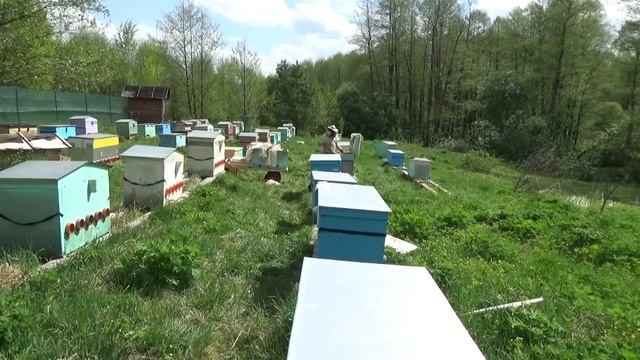 Работа на пасеке. Деление на пол лёта смотреть онлайн