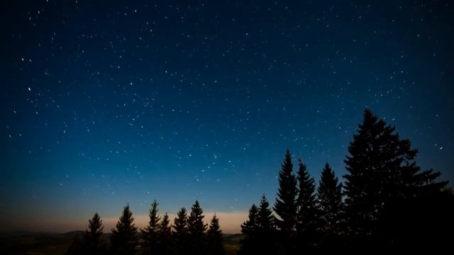 ГЛУБОКИЙ СОН Расслабляющая медитация. Звуки НОЧНОГО ЛЕСА АСМР. Deep Forest Sounds For Sleep ASMR. смотреть онлайн