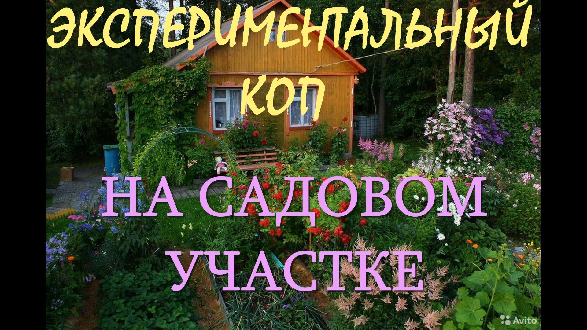ЭКСПЕРИМЕНТАЛЬНЫЙ КОП НА САДОВОМ УЧАСТКЕ !!! смотреть онлайн