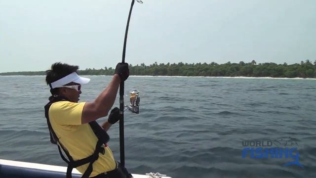 Гигантский каранкс (GT) Мальдивские острова! смотреть онлайн