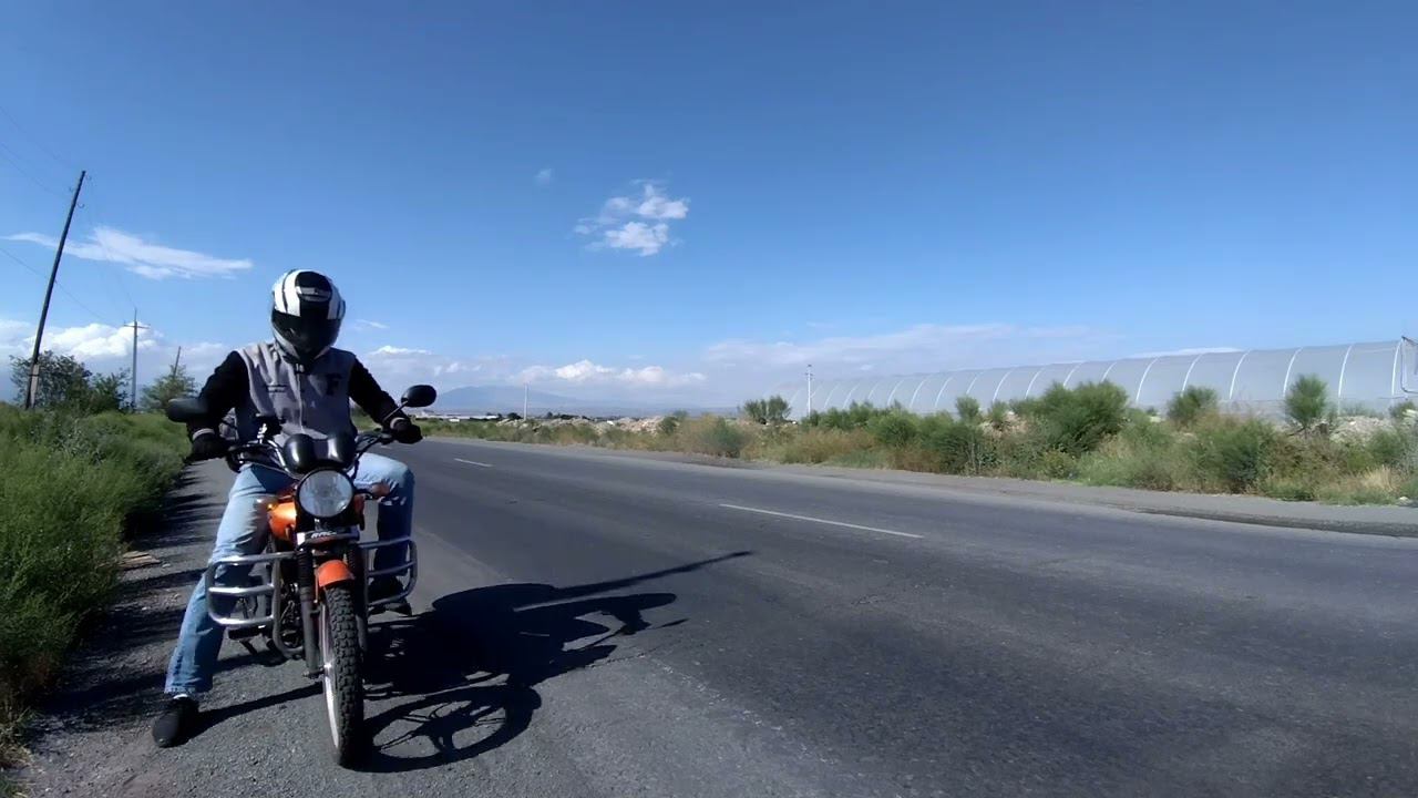 Будни альфовода