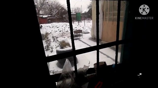 JAWA зимой в холод Как заводится Ява в мороз Jawa 632 Jawa 634 Jawa 638 Ява 632 Ява 634 Ява 638 смотреть онлайн