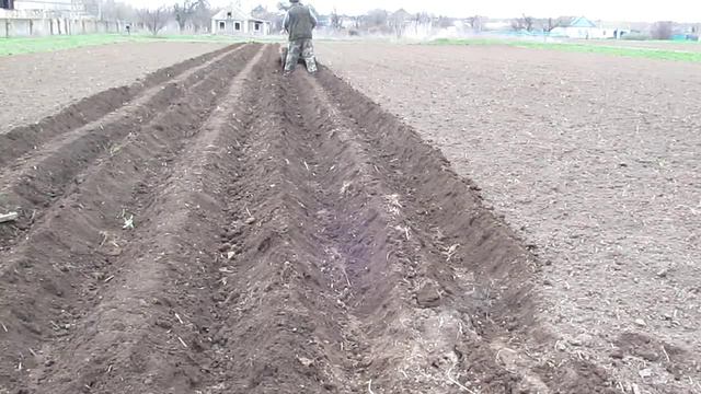 18 - Посадка картофеля мотоблоком 2016 смотреть онлайн