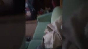 Бабадук！！！ тук тук пришел нехочет уходить 1часть