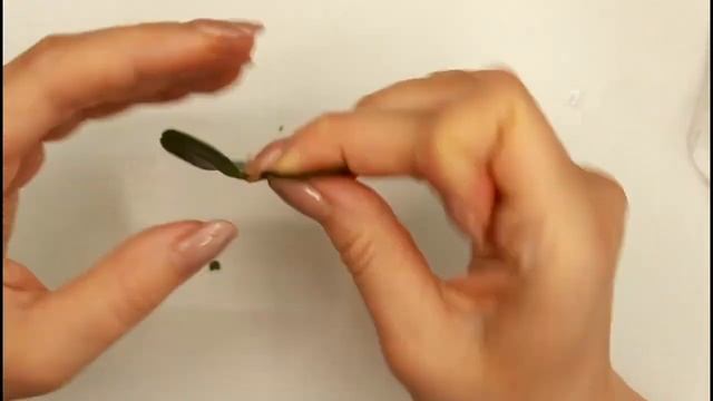 Мастер-класс: Брошь 