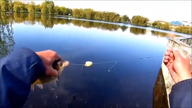 Снасть на которую можно спокойно ловить до нереста , во время нереста и весь сезон . смотреть онлайн