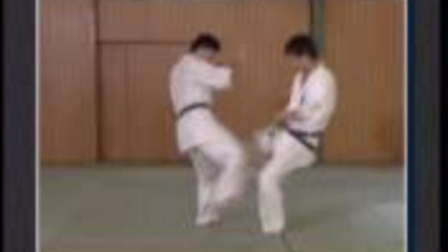 КАРАТЭ ДАЙДО-ДЖУКУ (ТЕХНИКА) смотреть онлайн