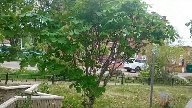 город с историей. Юрьевец смотреть онлайн