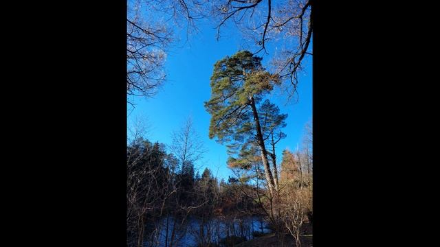 Мойдодыр К.И. Чуковский смотреть онлайн