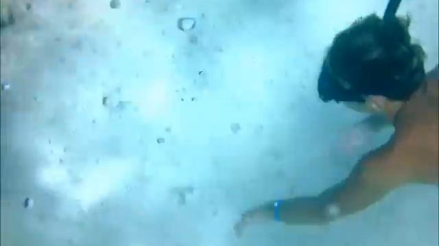 Рифы Шарм аль Шейха, Sea Life смотреть онлайн