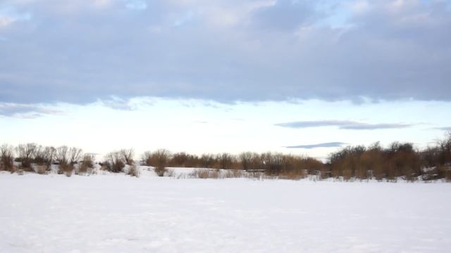 Налим и окуни. Видеотчет 16.03. Река Ница смотреть онлайн