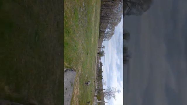 показываем посёлок хинганск. смотреть онлайн