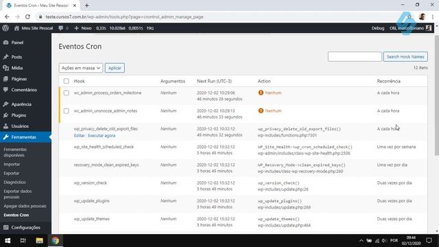 39011 - Curso Debug WordPress - WP Control смотреть онлайн