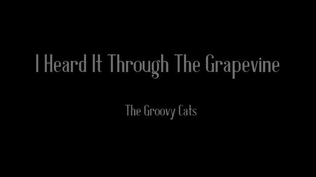 The Groovy Cats смотреть онлайн