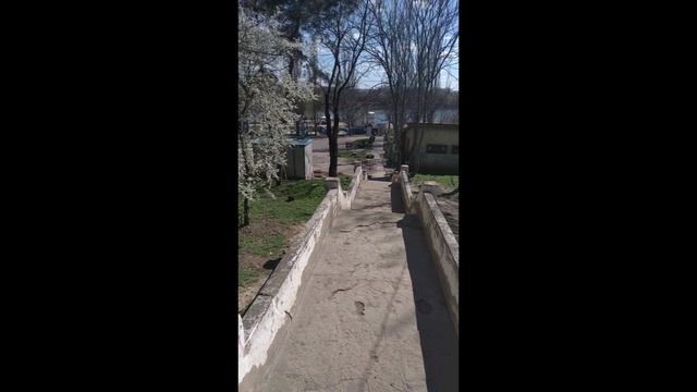 Сейчас самое время. Весна