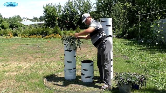 Красивая клумба " Три берёзки"- сделайте себе такую же!!!!! смотреть онлайн