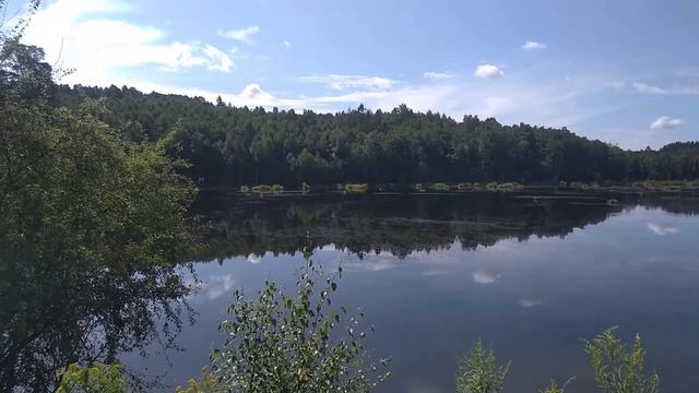 Светлогорск. Озеро Майское. Август 2021 смотреть онлайн