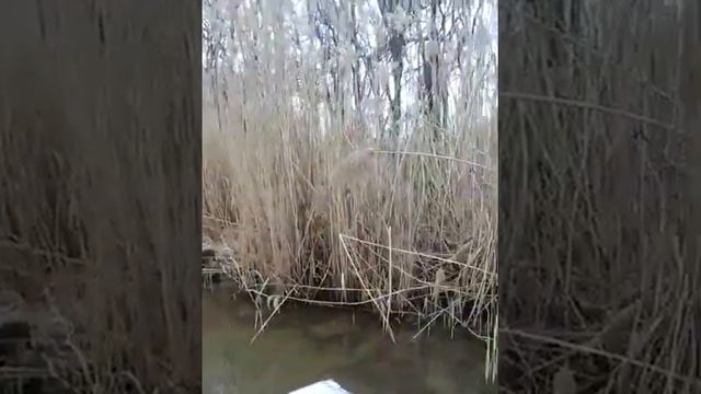 Рыбалка на водохранилище в Солнечнодольске смотреть онлайн