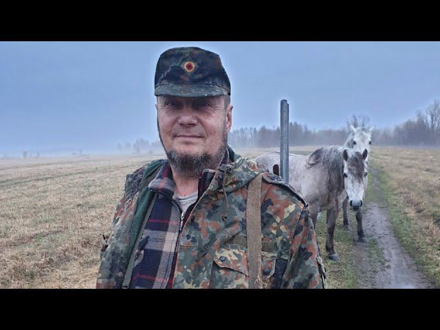 Требуется помощь защитнику Шиеса смотреть онлайн