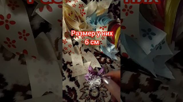 Бантики для маленьких собачек : процесс работы