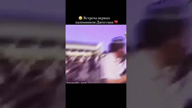 Встреча первых паломников Дагестана 1991или 1992года смотреть онлайн