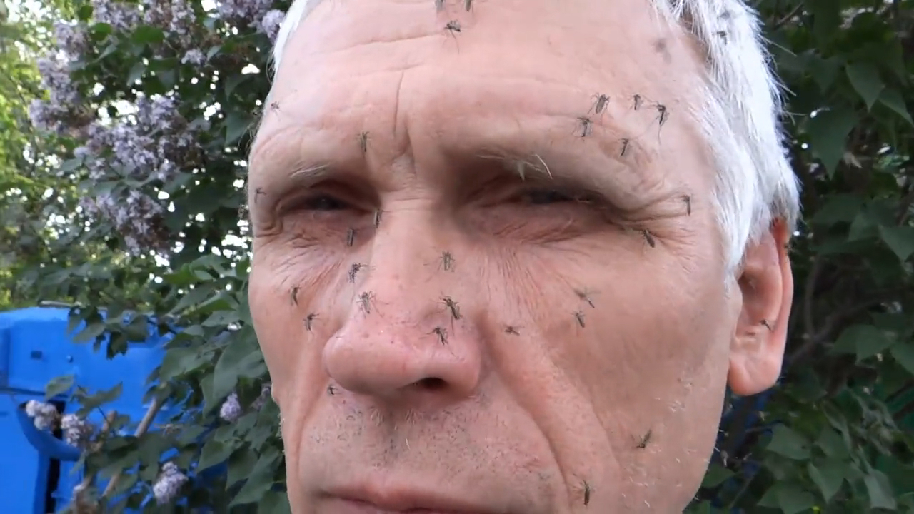 Комары - комарики смотреть онлайн