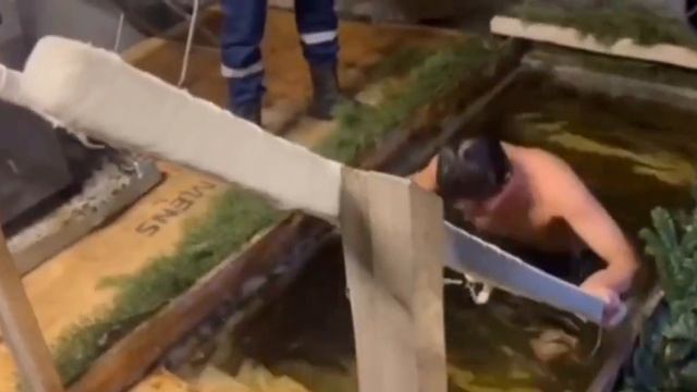 Африканские и латиноамериканские студенты в русской проруби смотреть онлайн